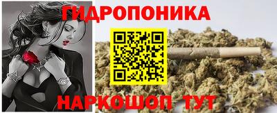 бошки Сланцы