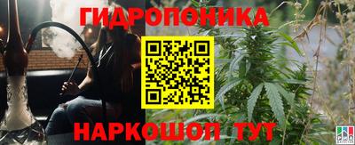 бошки Сланцы