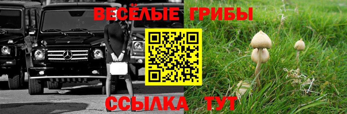 Галлюциногенные грибы мухоморы  Вход с VPN  Псилоцибиновые грибы Psilocybine cubensis  Мытищи 